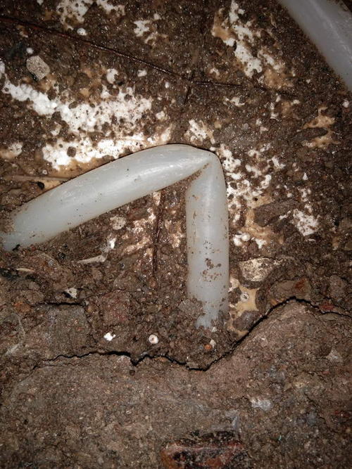 金乡堵点精准查找